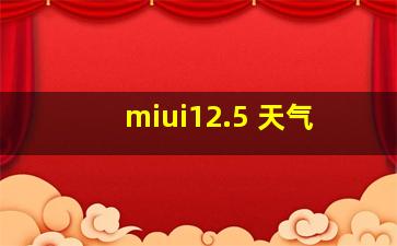 miui12.5 天气